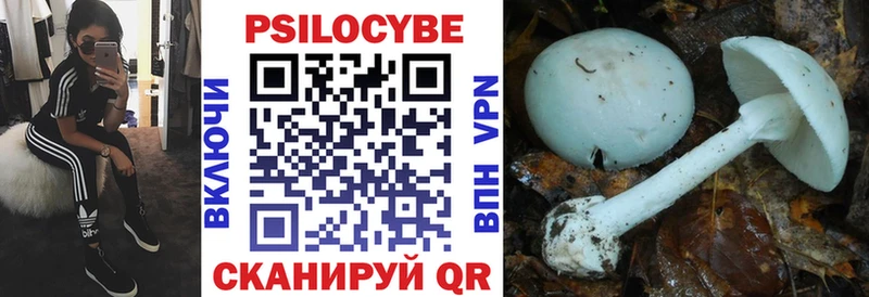 Псилоцибиновые грибы мицелий  Купить  Лиски 