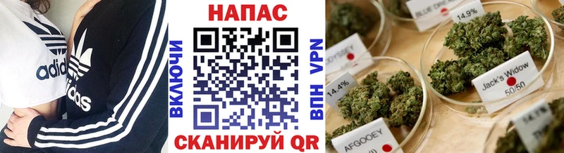 Бошки марихуана сатива  Купить  Лиски 